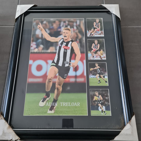 Adam Treloar Framed Collingwood Picture