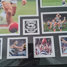 Load image into Gallery viewer, Jimmy Bartel Framed Geelong Picture
