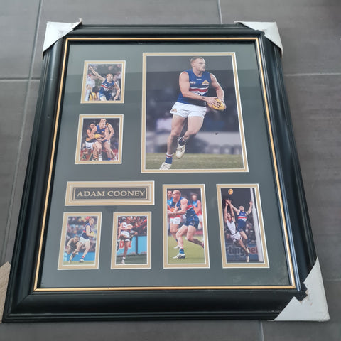 Adam Cooney Framed Western Bulldogs Picture