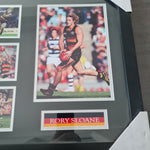 Rory Sloane Framed Adelaide Crows Picture