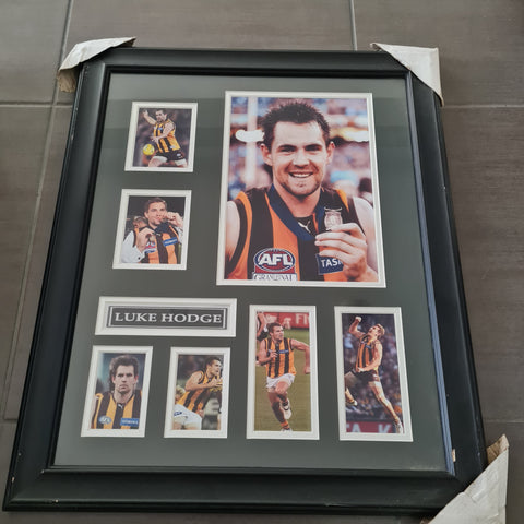 Luke Hodge Framed Hawthorn Picture