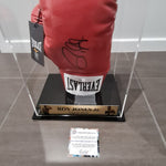Roy Jones Jnr Signed Right Everlast Boxing Glove (Schwartz)