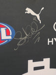 Stephen Kernahan Hand Signed & Framed Carlton Jumper