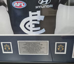 Patrick Cripps limited Signed Wings with Medals and COA