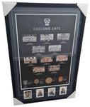 Geelong Premiership Heroes Signed Pic. Hawkins, Ablett, Selwood, Chapman Signature's.