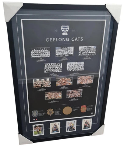 Geelong Premiership Heroes Signed Pic. Hawkins, Ablett, Selwood, Chapman Signature's.