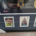 Geelong Premiership Heroes Signed Pic. Hawkins, Ablett, Selwood, Chapman Signature's.