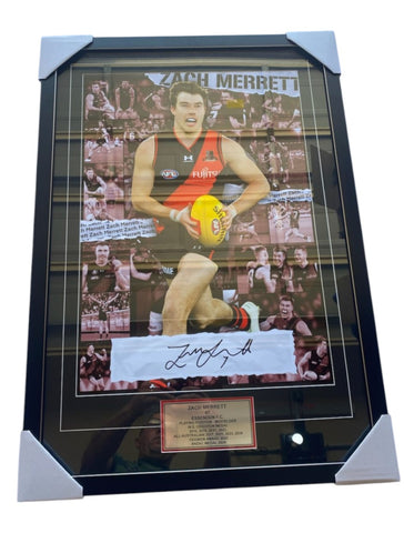 Zach Merrett limited Signed Picture and COA