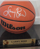 Larry Bird Signed NBA Basketball (Schwartz & Bird)