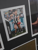 Nick Daicos limited Signed Picture includes COA